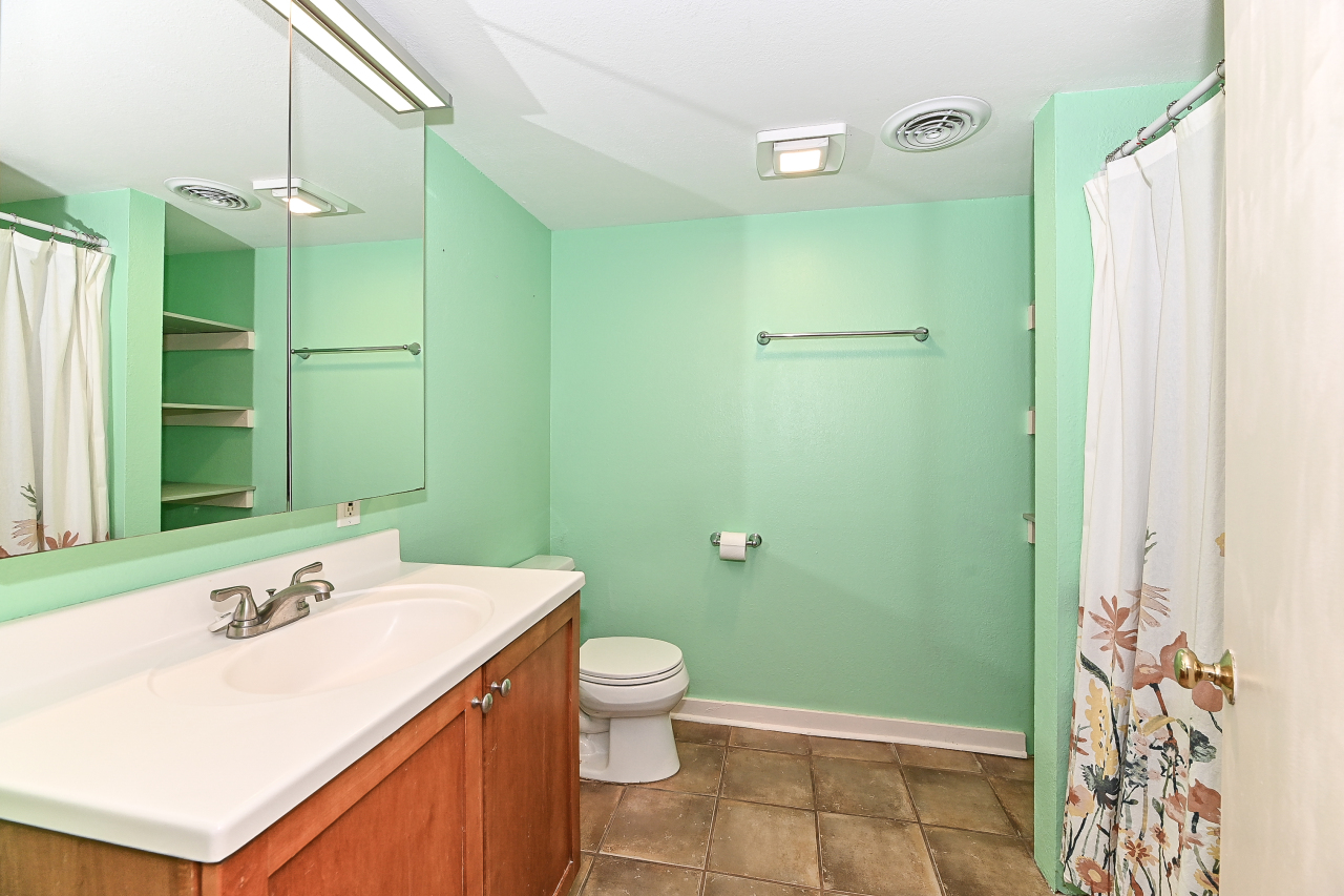 2220 South 14th Street Milwaukee, WI 53215 - Photo 21 of 27 Full bathroom lower level