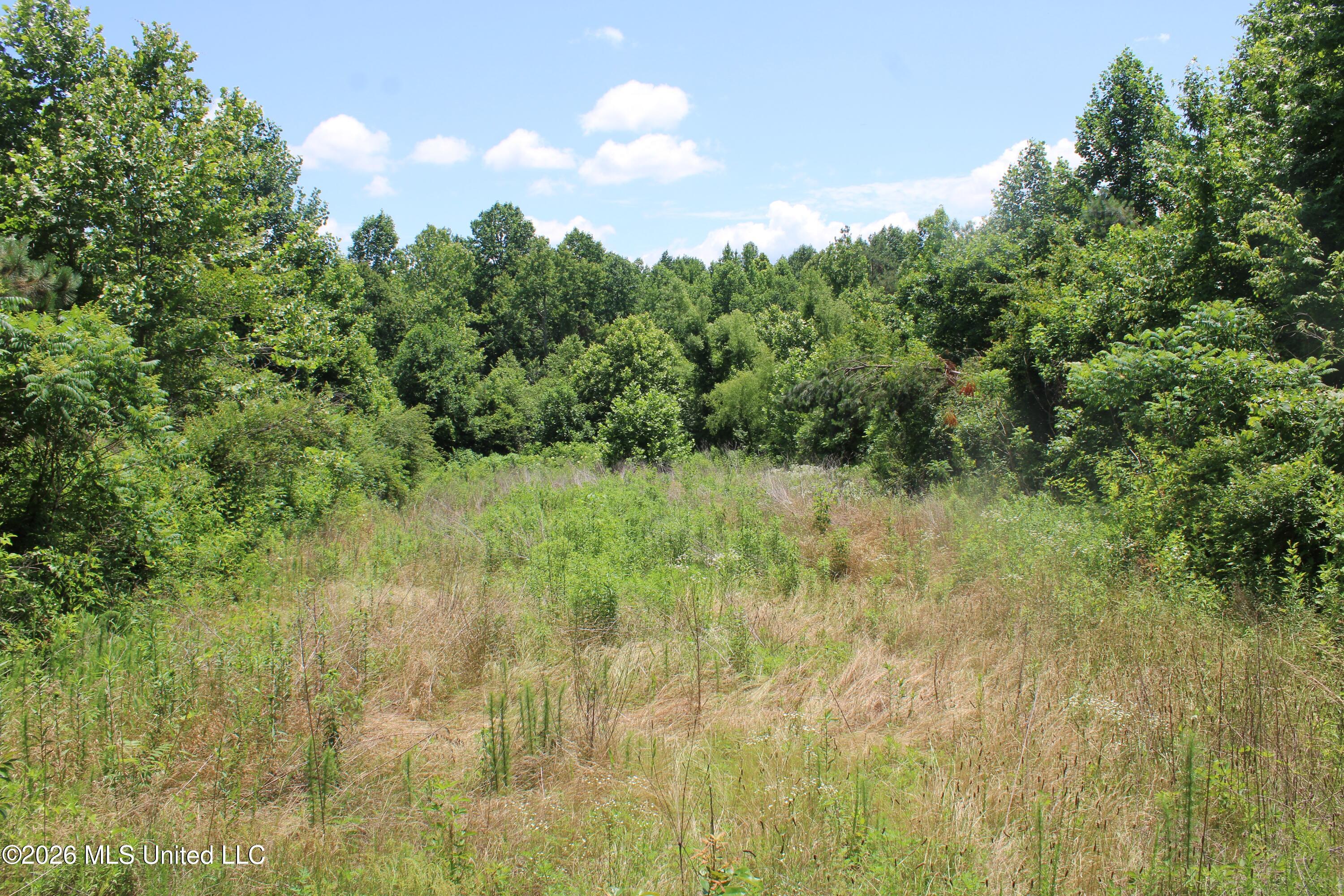 0 Scruggs Road Holly Springs, MS 38635 - Photo 12 of 25 IMG_7872