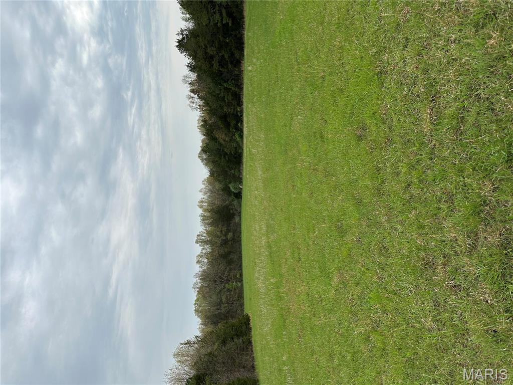 0 Butcher Branch Road Hillsboro, MO 63050 - Photo 11 of 13