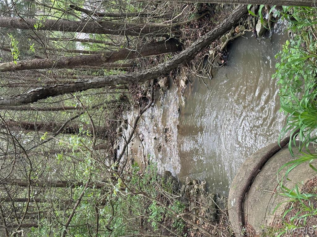 0 Butcher Branch Road Hillsboro, MO 63050 - Photo 12 of 13