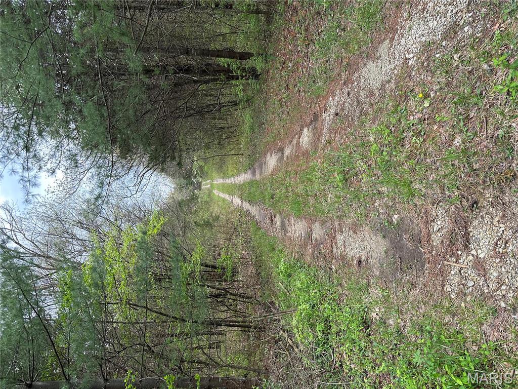 0 Butcher Branch Road Hillsboro, MO 63050 - Photo 13 of 13