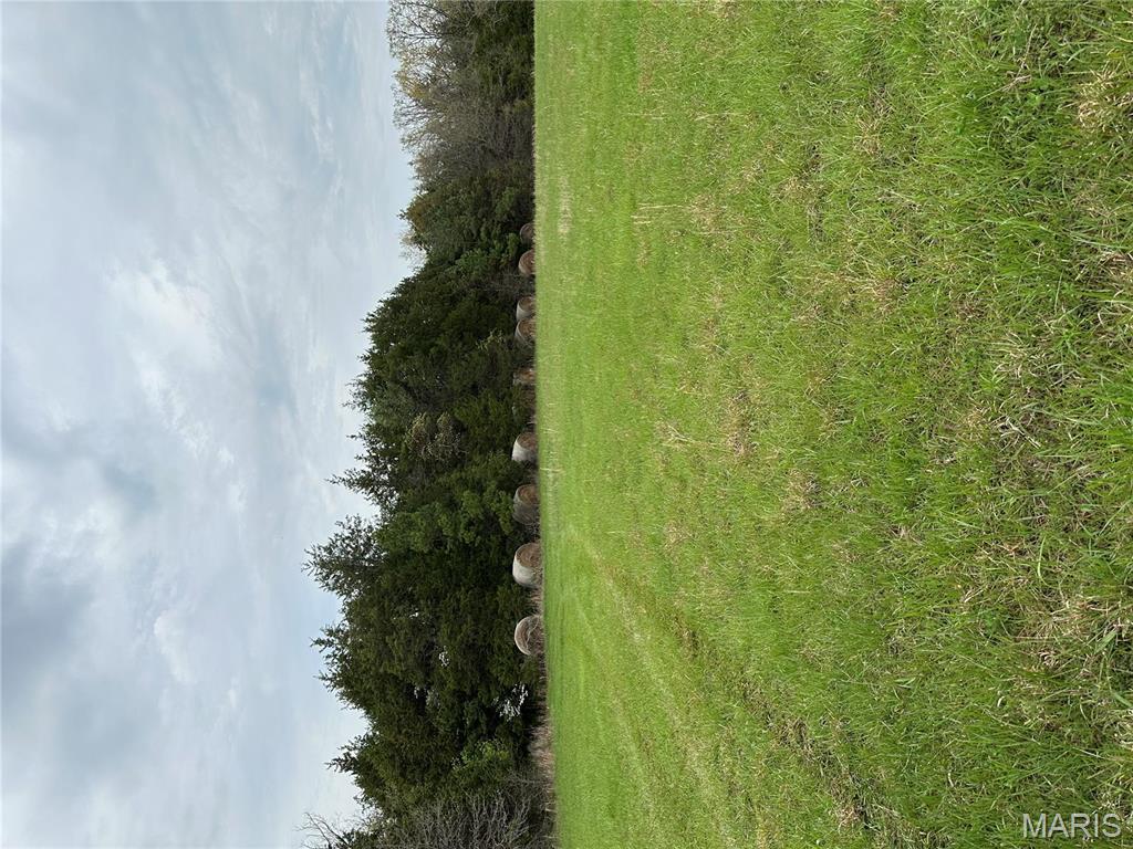 0 Butcher Branch Road Hillsboro, MO 63050 - Photo 2 of 13