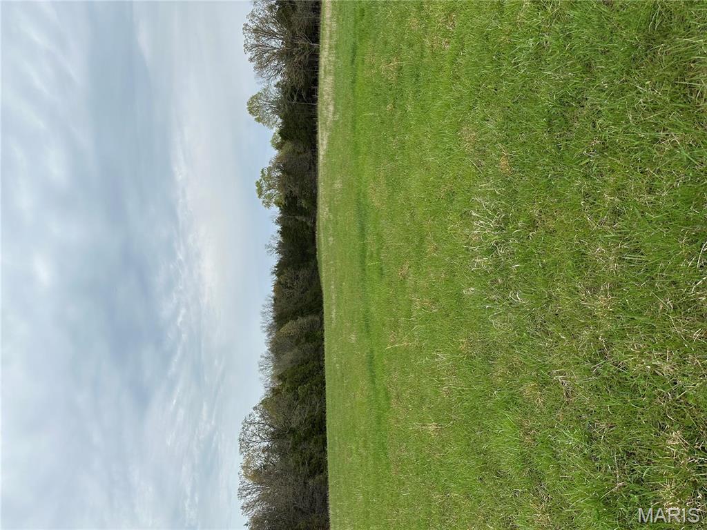 0 Butcher Branch Road Hillsboro, MO 63050 - Photo 3 of 13