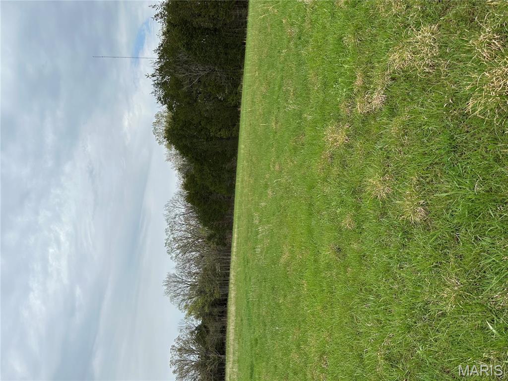 0 Butcher Branch Road Hillsboro, MO 63050 - Photo 4 of 13