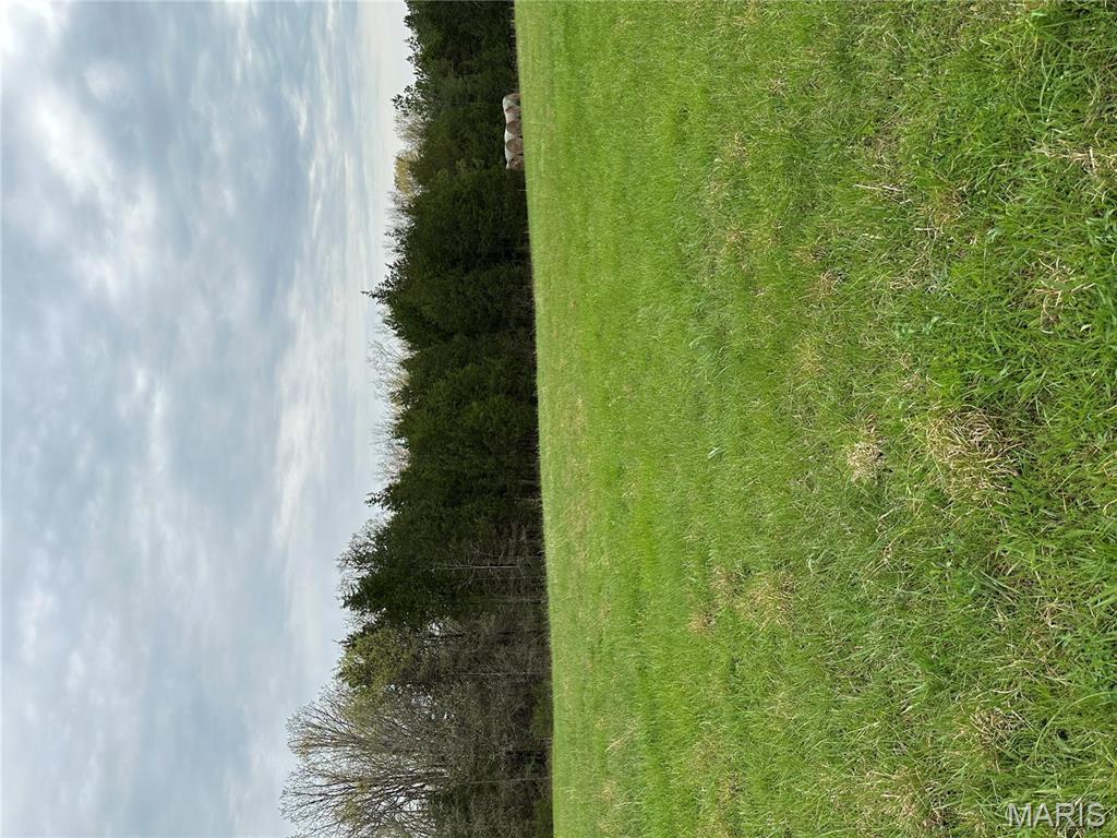 0 Butcher Branch Road Hillsboro, MO 63050 - Photo 5 of 13