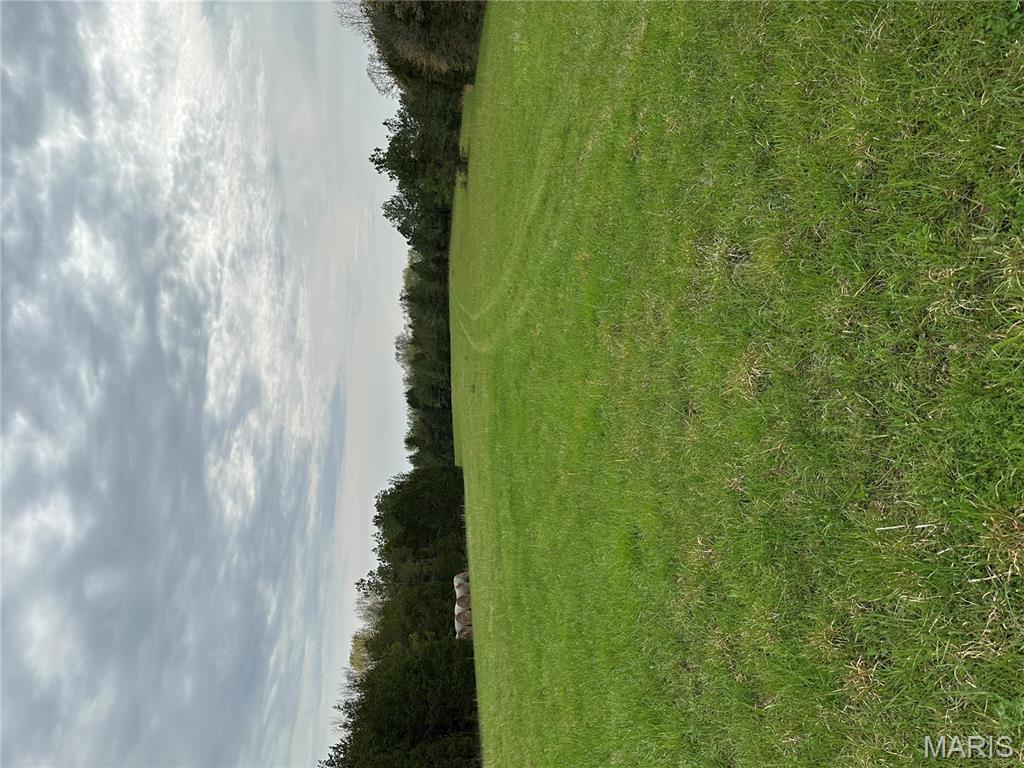 0 Butcher Branch Road Hillsboro, MO 63050 - Photo 6 of 13