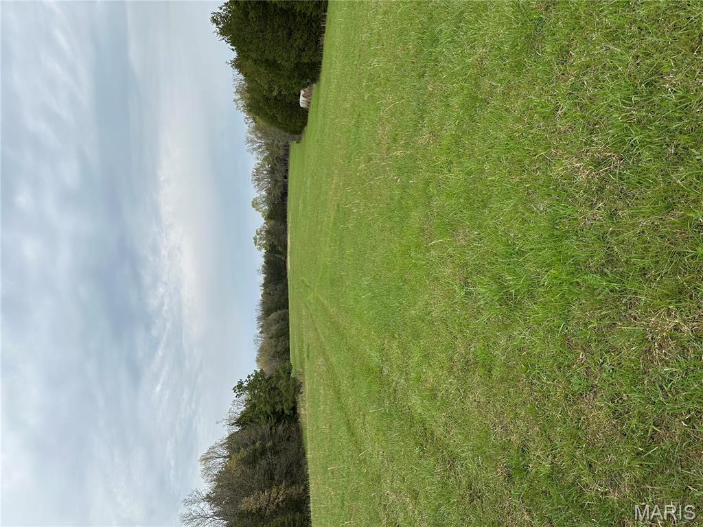 0 Butcher Branch Road Hillsboro, MO 63050 - Photo 7 of 13