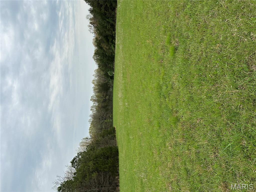 0 Butcher Branch Road Hillsboro, MO 63050 - Photo 8 of 13