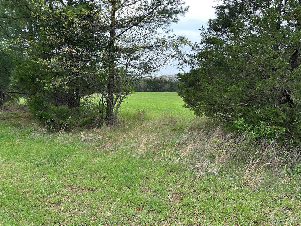 0 Butcher Branch Road Hillsboro, MO 63050 - Photo 10 of 13