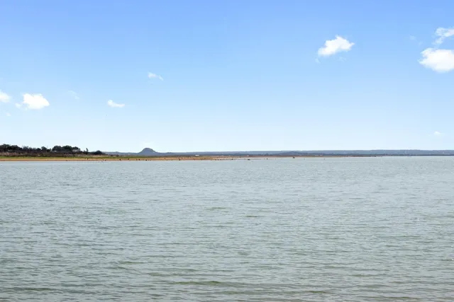 a view of outdoor space with garden and trees