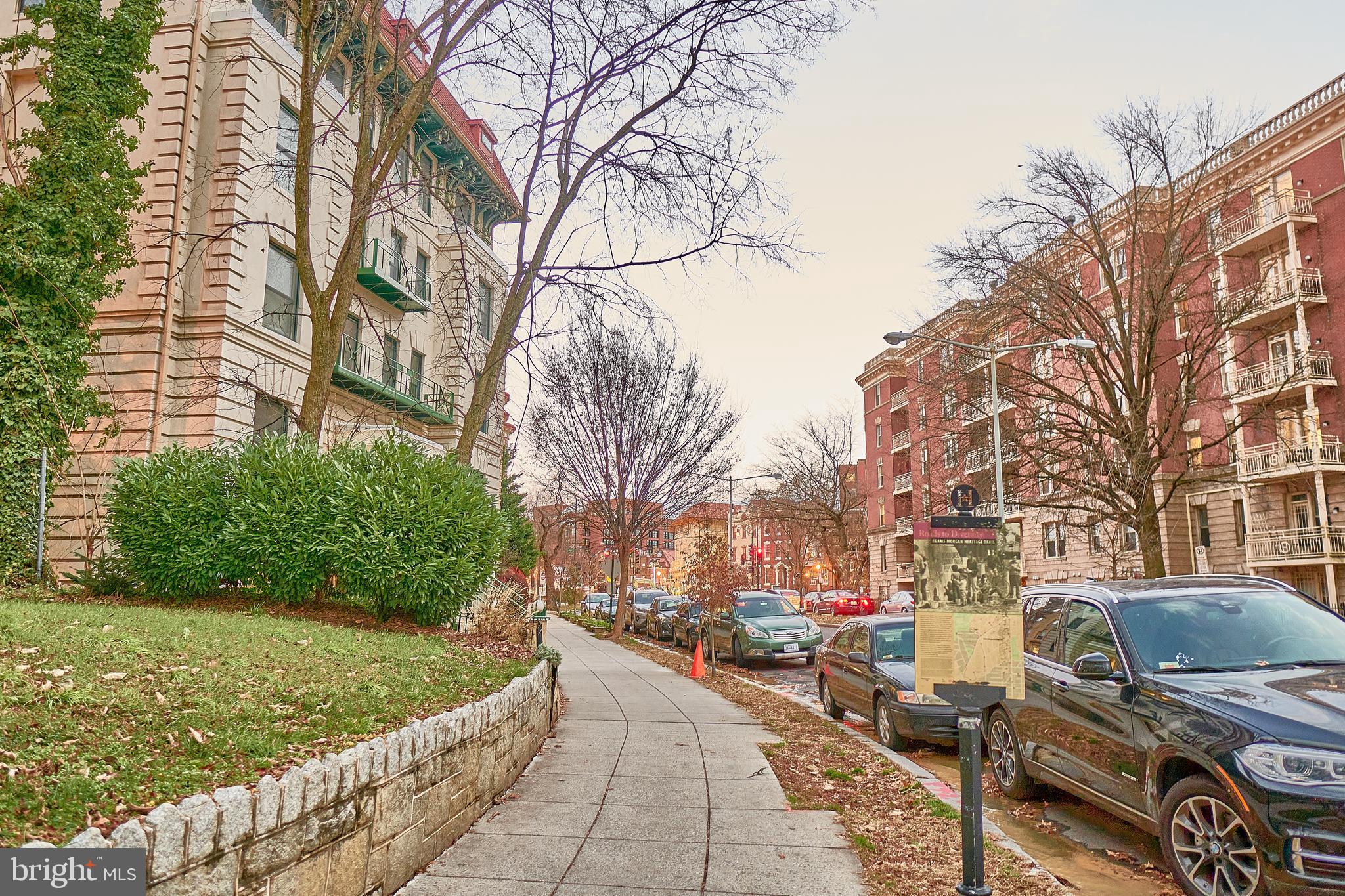 2633 Adams Mill Road Northwest, Unit B2 Washington, DC 20009 - Photo 3 of 14 Gallery Image 3