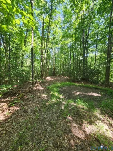 a view of outdoor space with trees all around