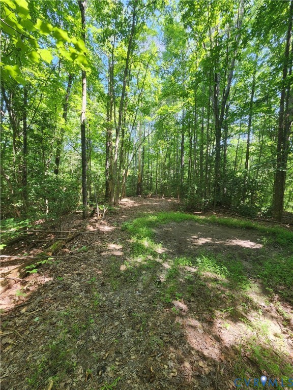 0 Purkins Road Tappahannock, VA 22560 - Photo 2 of 5 a view of outdoor space with trees all around