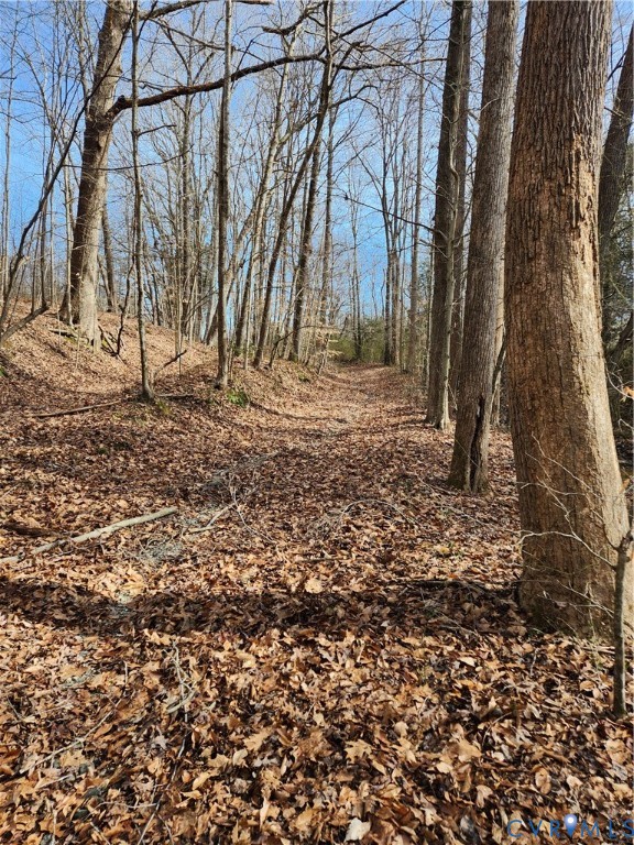 0 Purkins Road Tappahannock, VA 22560 - Photo 4 of 5 a backyard of a house with lots of green space
