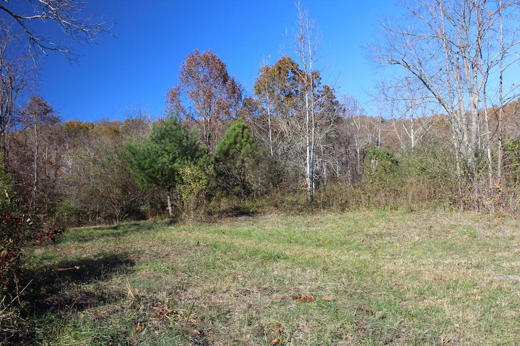 0 Carpenter Hill Road Langsville, OH 45741 - Photo 20 of 36