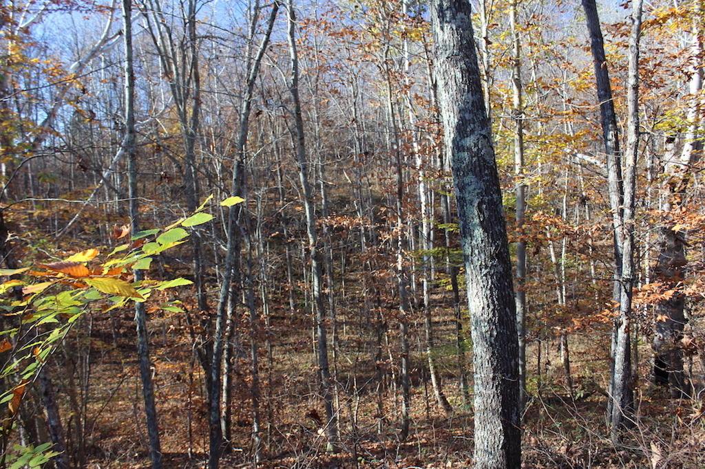 0 Carpenter Hill Road Langsville, OH 45741 - Photo 23 of 36