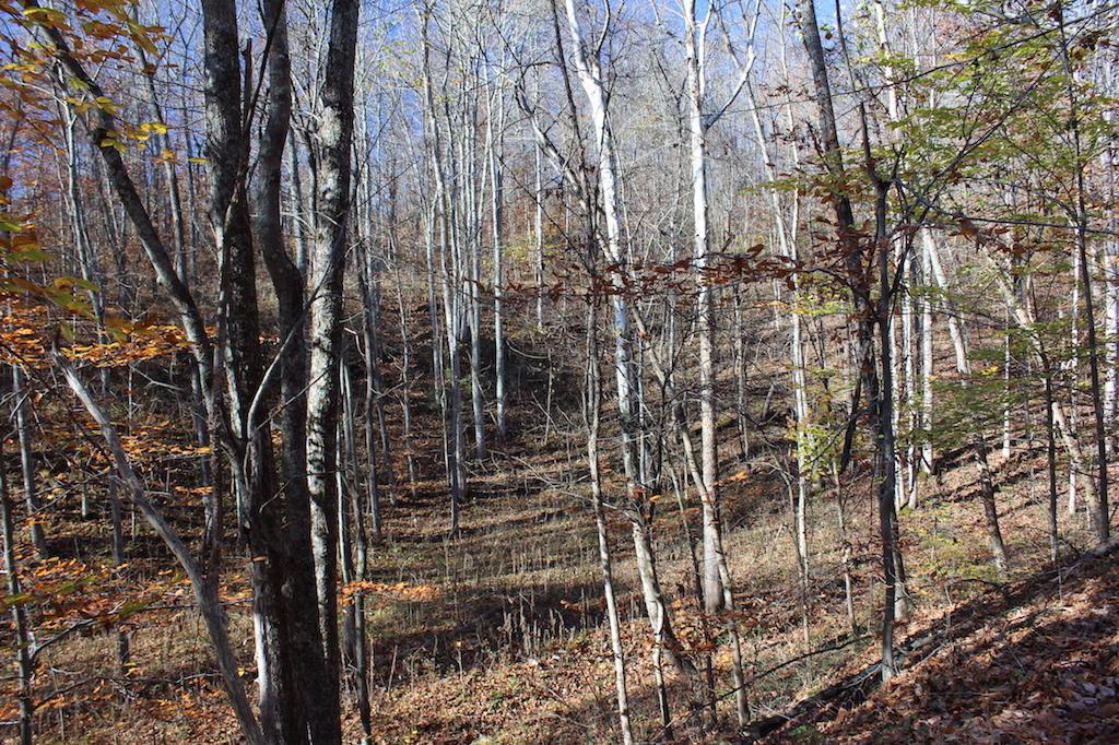 0 Carpenter Hill Road Langsville, OH 45741 - Photo 24 of 36