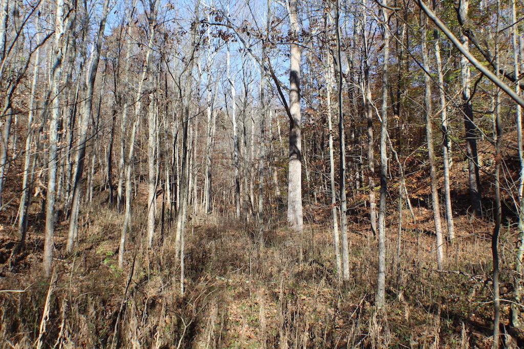 0 Carpenter Hill Road Langsville, OH 45741 - Photo 30 of 36