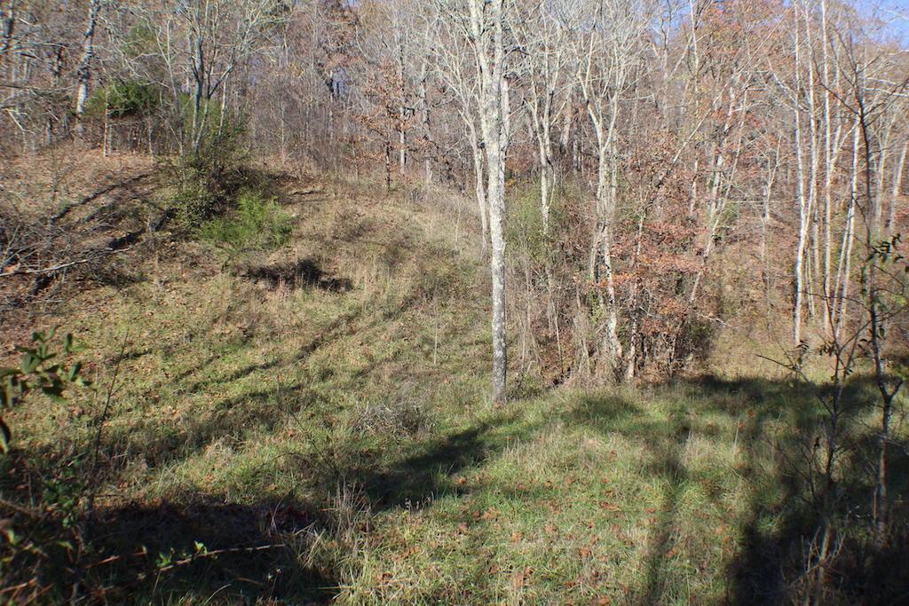 0 Carpenter Hill Road Langsville, OH 45741 - Photo 32 of 36