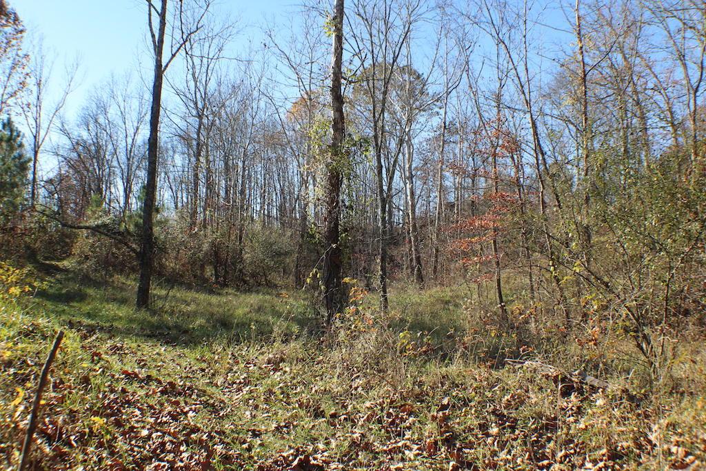 0 Carpenter Hill Road Langsville, OH 45741 - Photo 33 of 36