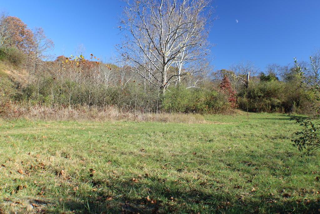 0 Carpenter Hill Road Langsville, OH 45741 - Photo 35 of 36