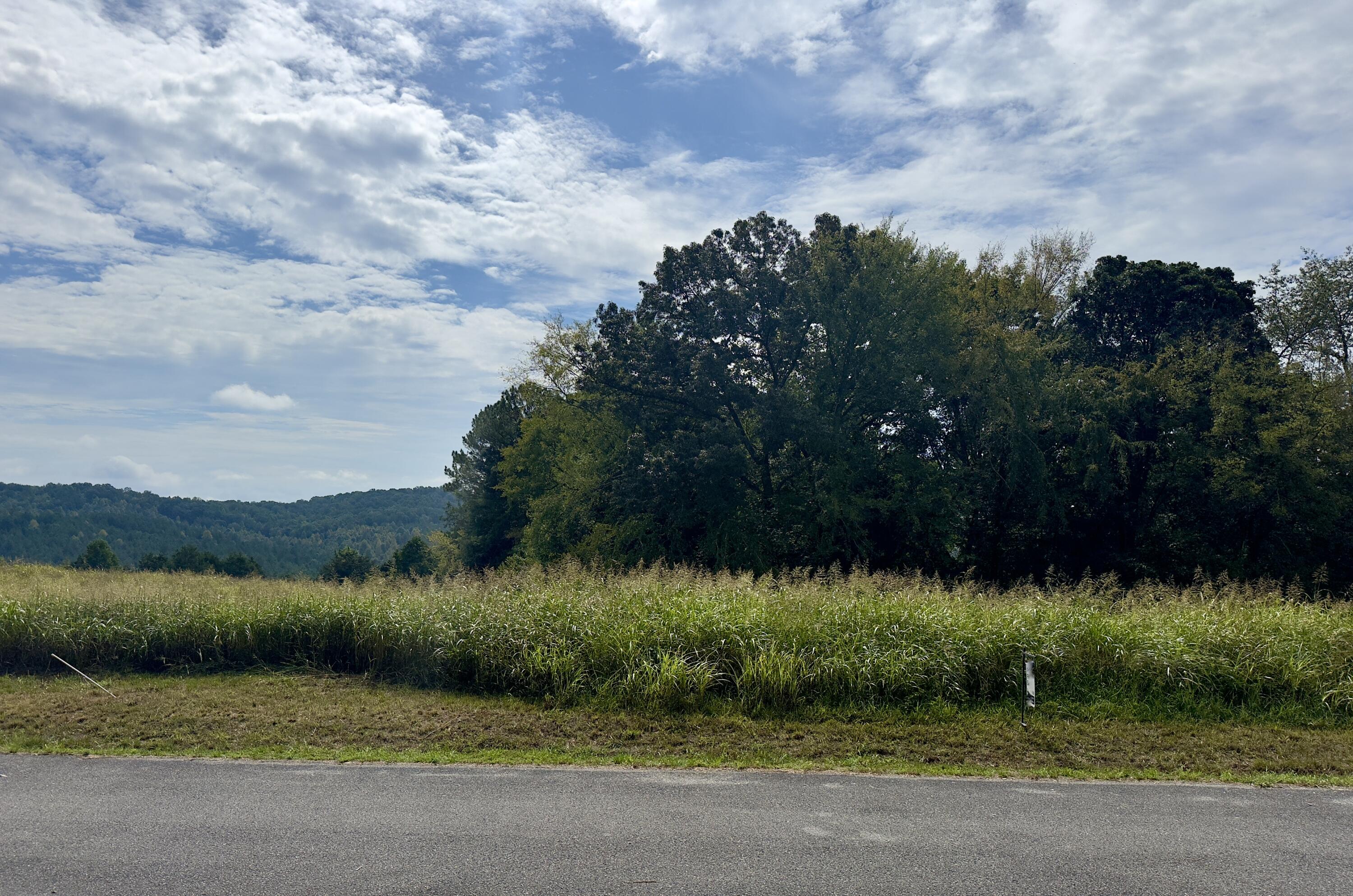 0 The Gates Drive, Unit 47 Decatur, TN 37322 - Photo 4 of 13 IMG_5448
