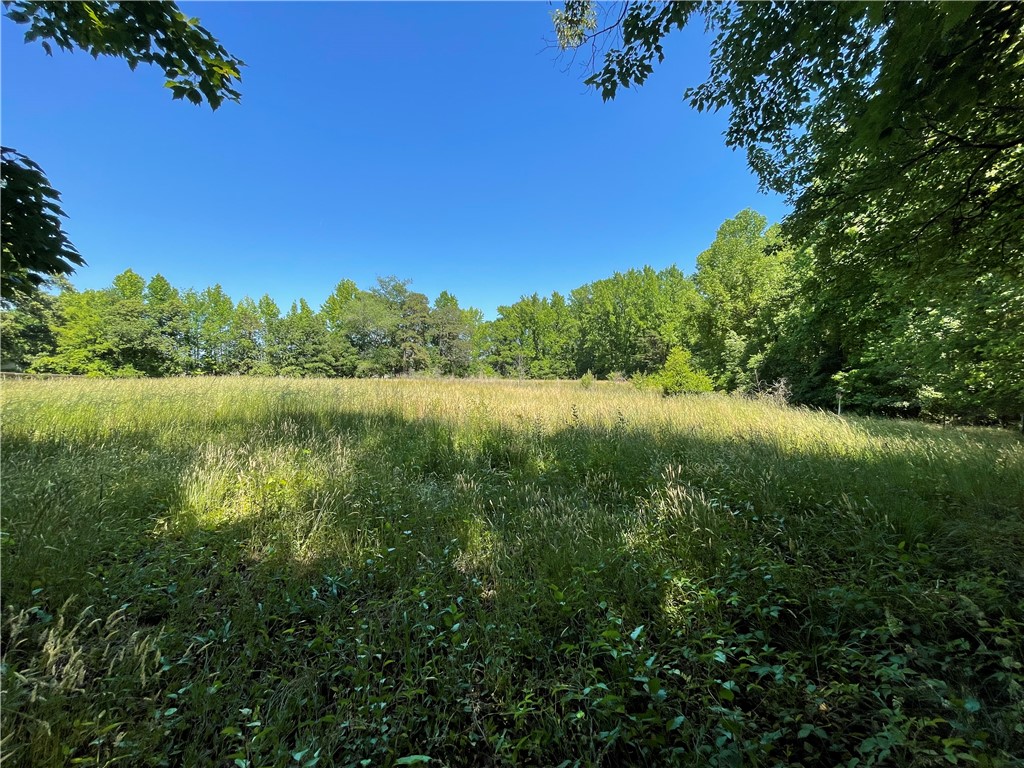 1006 Garlington Road Greenville, SC 29615 - Photo 13 of 24