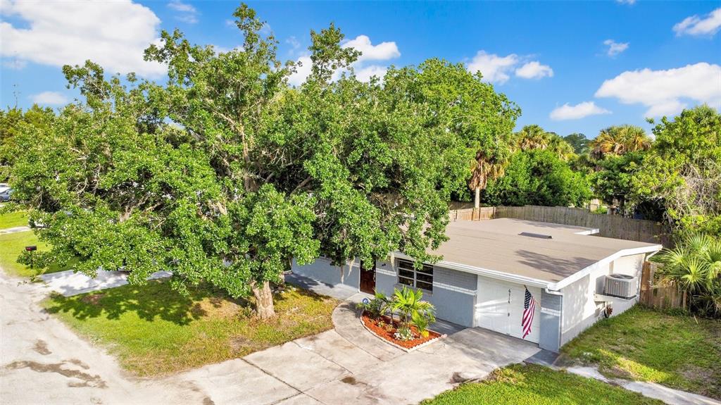 6714 Sandra Drive Port Richey, FL 34668 - Photo 8 of 33
