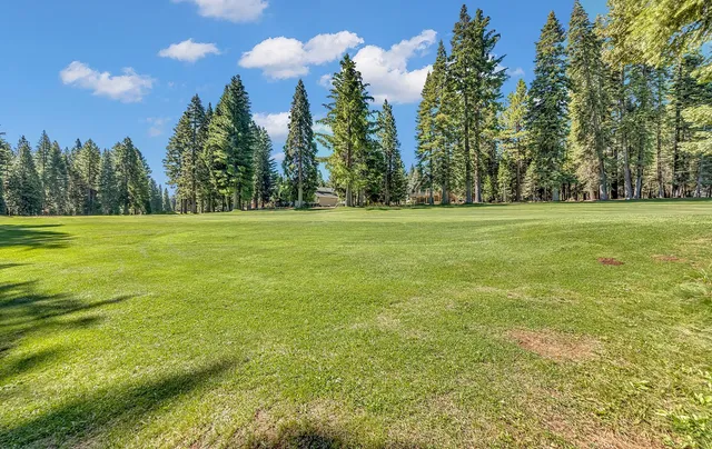 a view of a big yard with palm trees