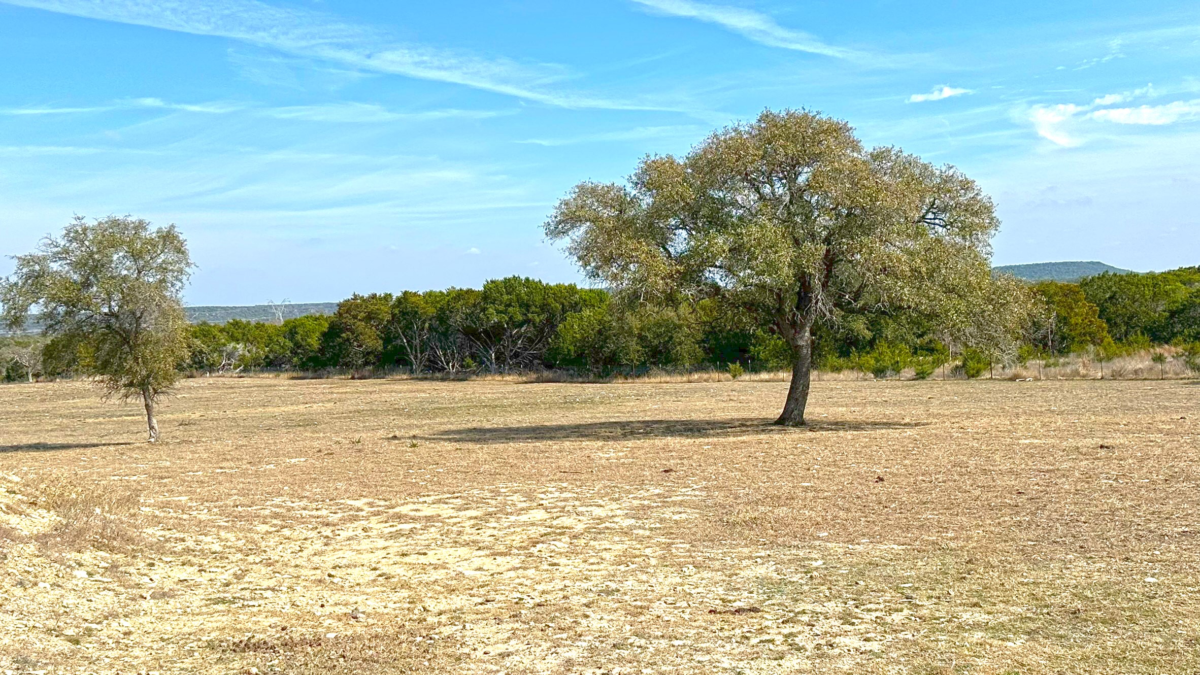 Tbd Whitetail Ridge Drive Kempner, TX 76539 - Photo 8 of 22 View of local wilderness featuring rural landscape