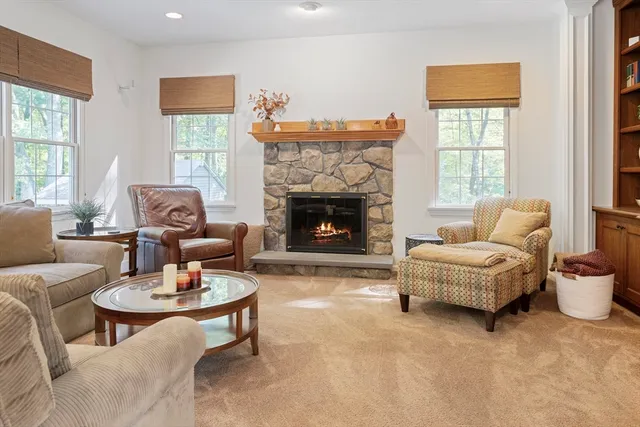 a living room with furniture and a fireplace