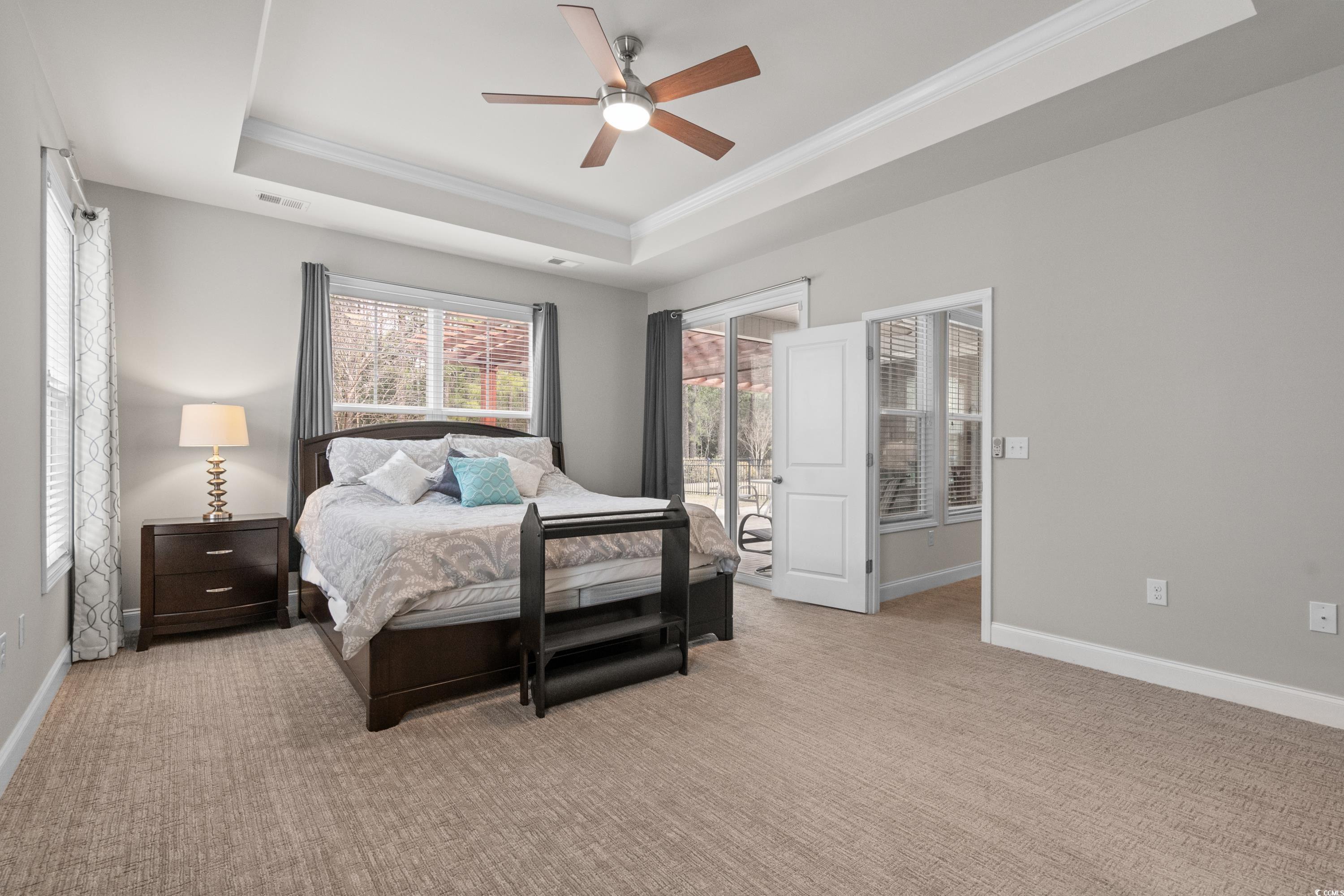 4284 Livorn Loop Myrtle Beach, SC 29579 - Photo 25 of 40 Bedroom featuring baseboards, a tray ceiling, acce