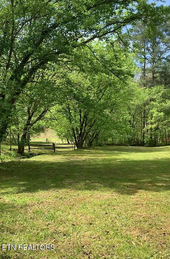 103 High Top Road Reliance, TN 37369 - Photo 9 of 11 Gallery Image 9