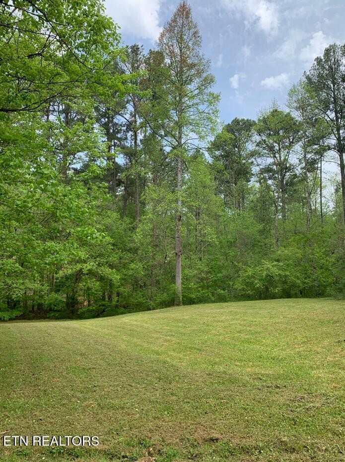 103 High Top Road Reliance, TN 37369 - Photo 10 of 11 Gallery Image 10
