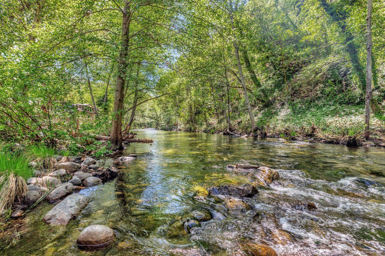 2 Camp Steffani Carmel Valley, CA 93924 - Photo 42 of 45