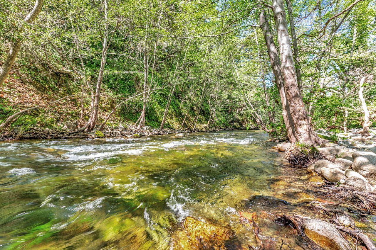2 Camp Steffani Carmel Valley, CA 93924 - Photo 43 of 45 a view of outdoor space with deck and tree