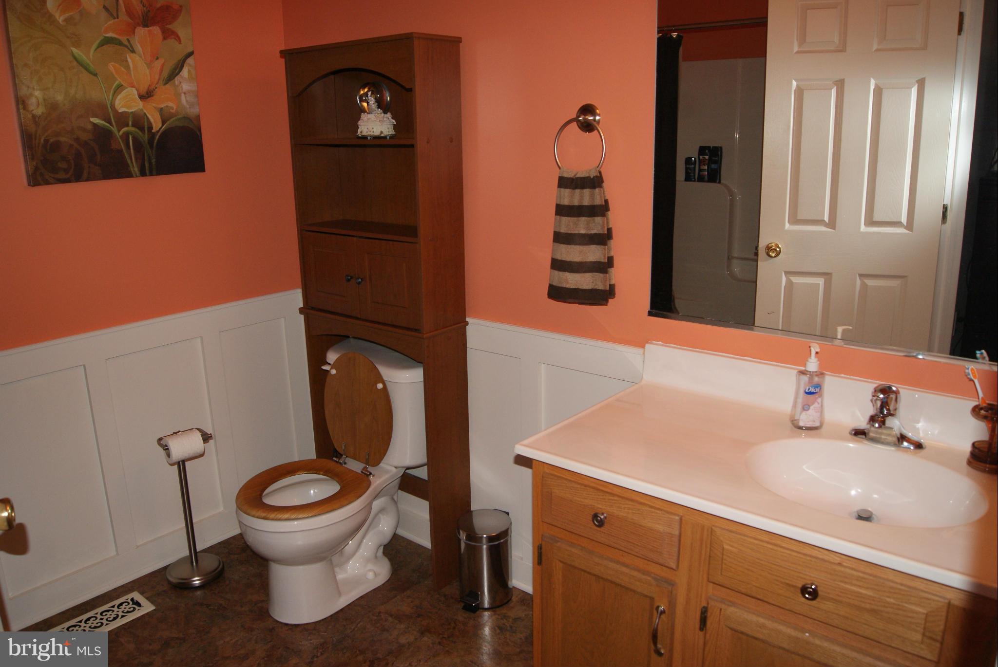 108 Lance Street Ranson, WV 25438 - Photo 11 of 18 Bath (Master)