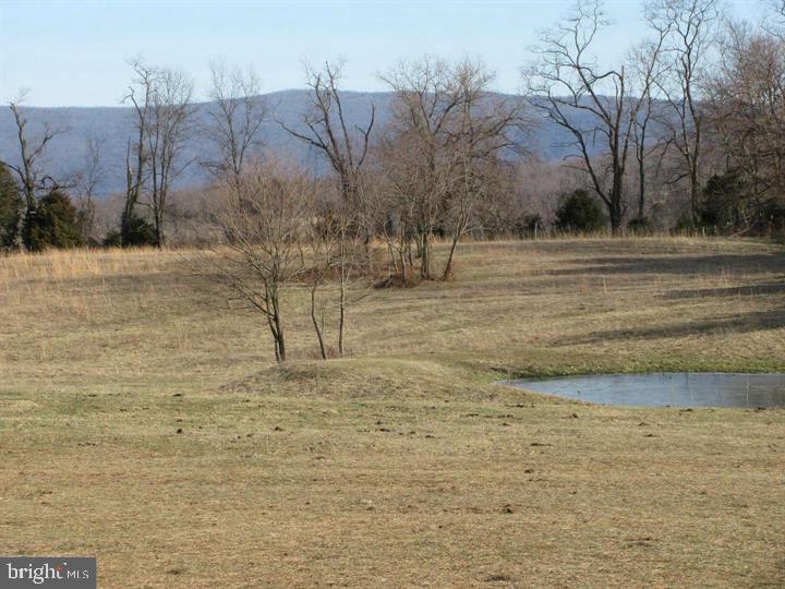 12392 Back Road Toms Brook, VA 22660 - Photo 6 of 15 a view of a yard with wooden fence