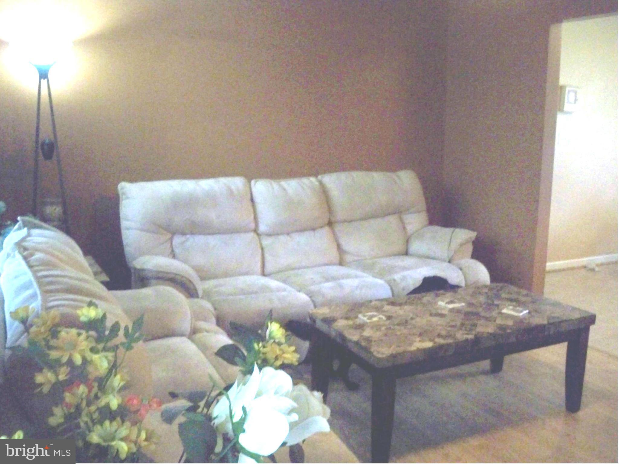221 Ruebuck Road Clear Brook, VA 22624 - Photo 14 of 21 Living Room