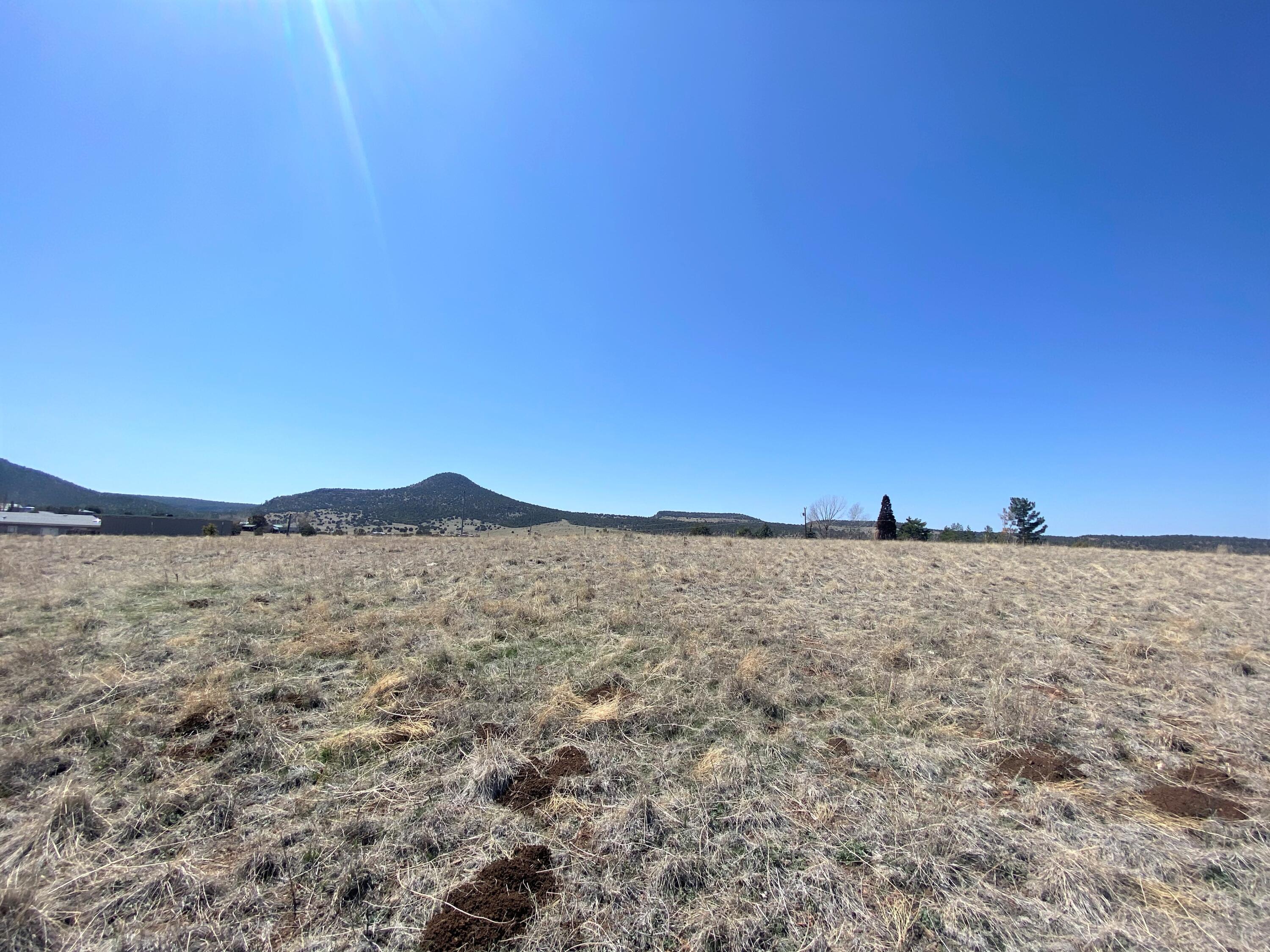 0 Rolling Hills Road Young, AZ 85554 - Photo 19 of 21