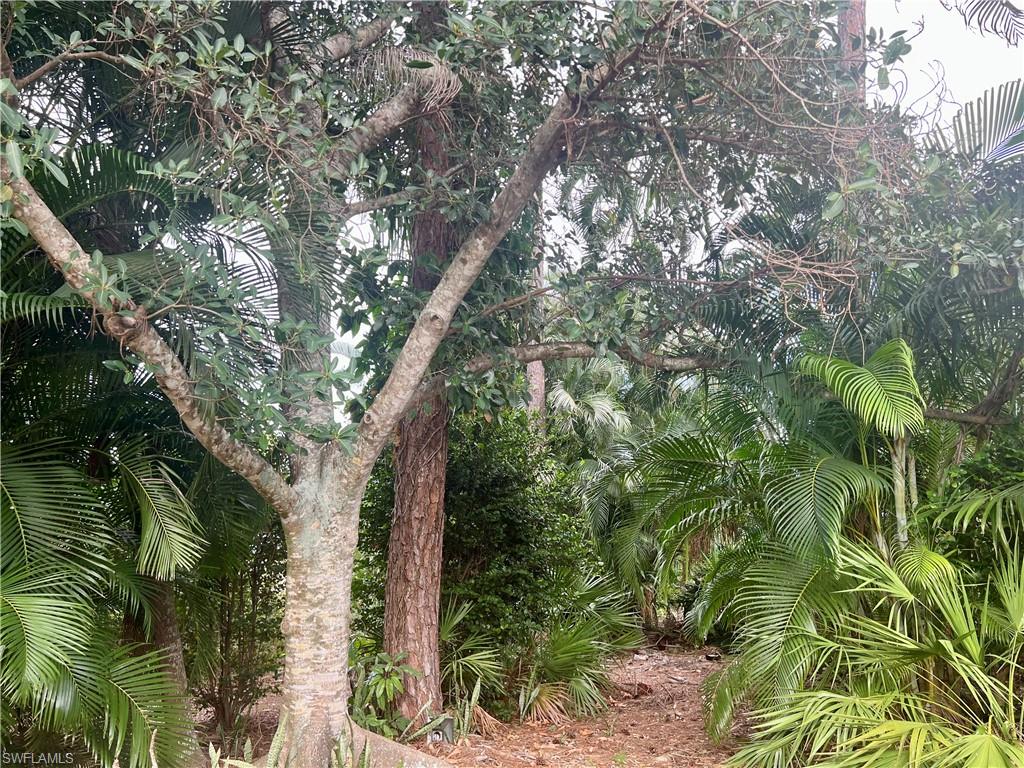 2251 Queens Way Naples, FL 34112 - Photo 4 of 8