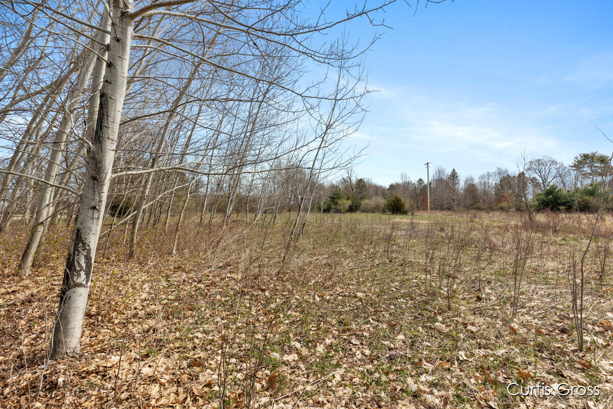 North Delaney Road Henderson, MI 48841 - Photo 11 of 13 IMG_1010