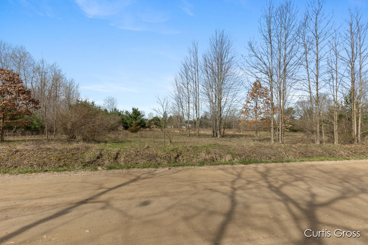 North Delaney Road Henderson, MI 48841 - Photo 2 of 13 IMG_1001
