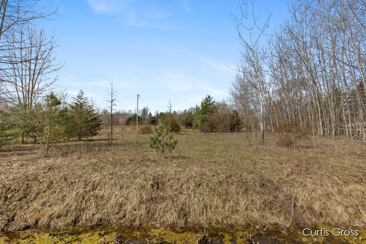 North Delaney Road Henderson, MI 48841 - Photo 3 of 13 IMG_1002