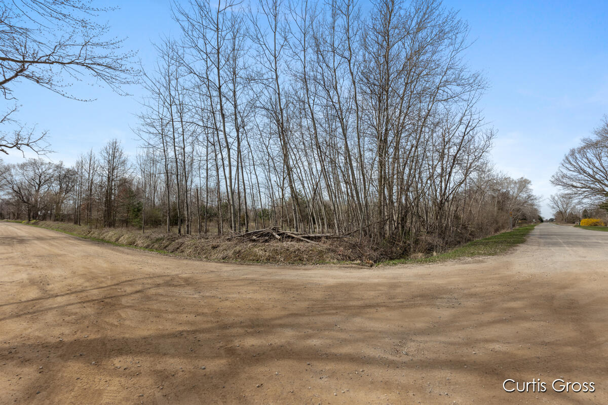 North Delaney Road Henderson, MI 48841 - Photo 5 of 13 IMG_1004