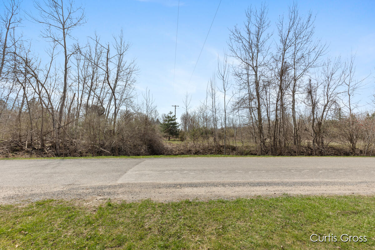 North Delaney Road Henderson, MI 48841 - Photo 7 of 13 IMG_1006