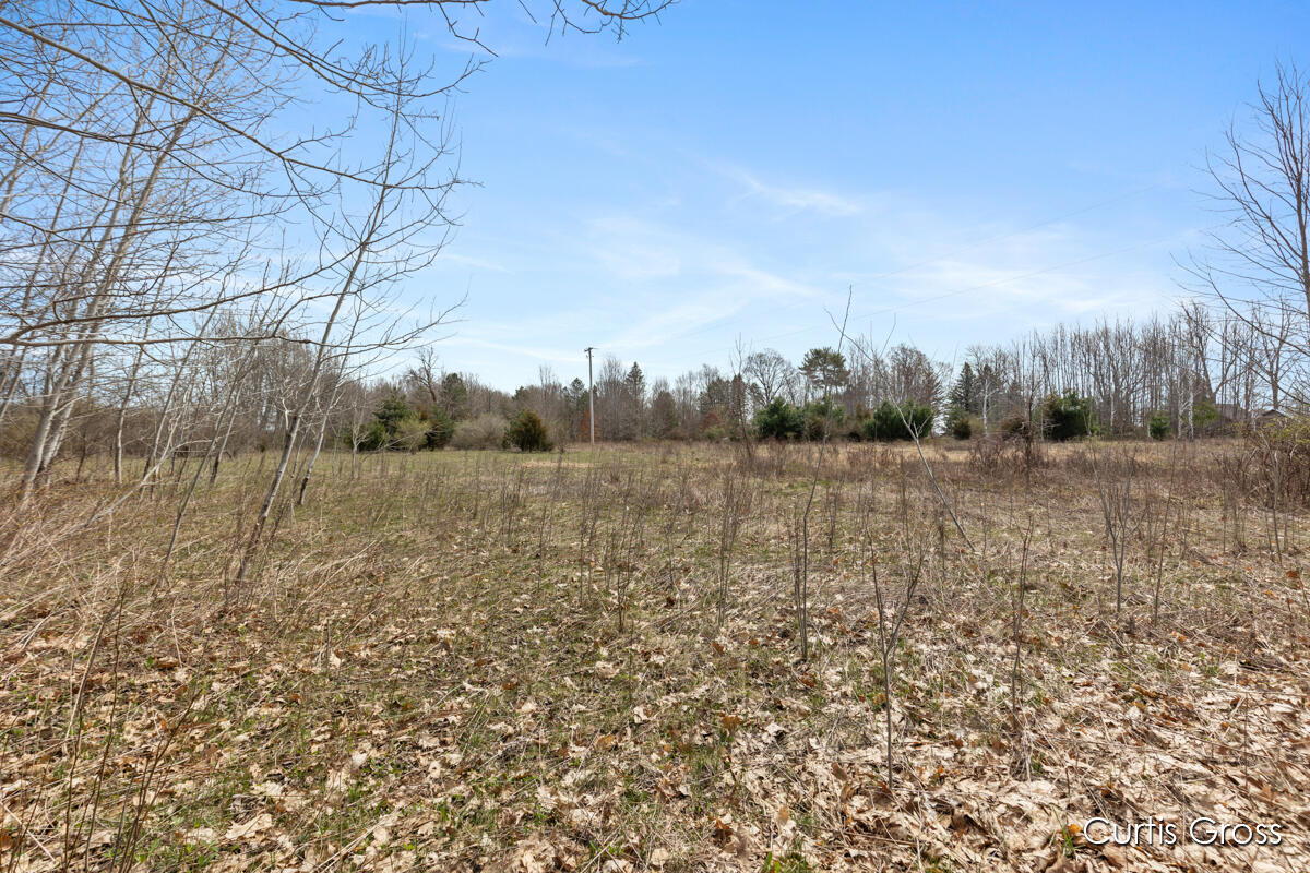 North Delaney Road Henderson, MI 48841 - Photo 10 of 13 IMG_1009