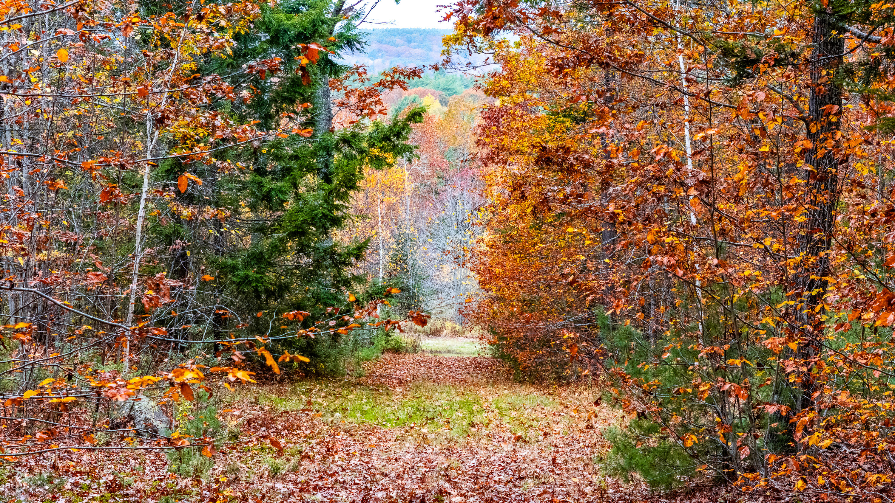 Lot#4 Bay View Trail Edgecomb, ME 04556 - Photo 23 of 48