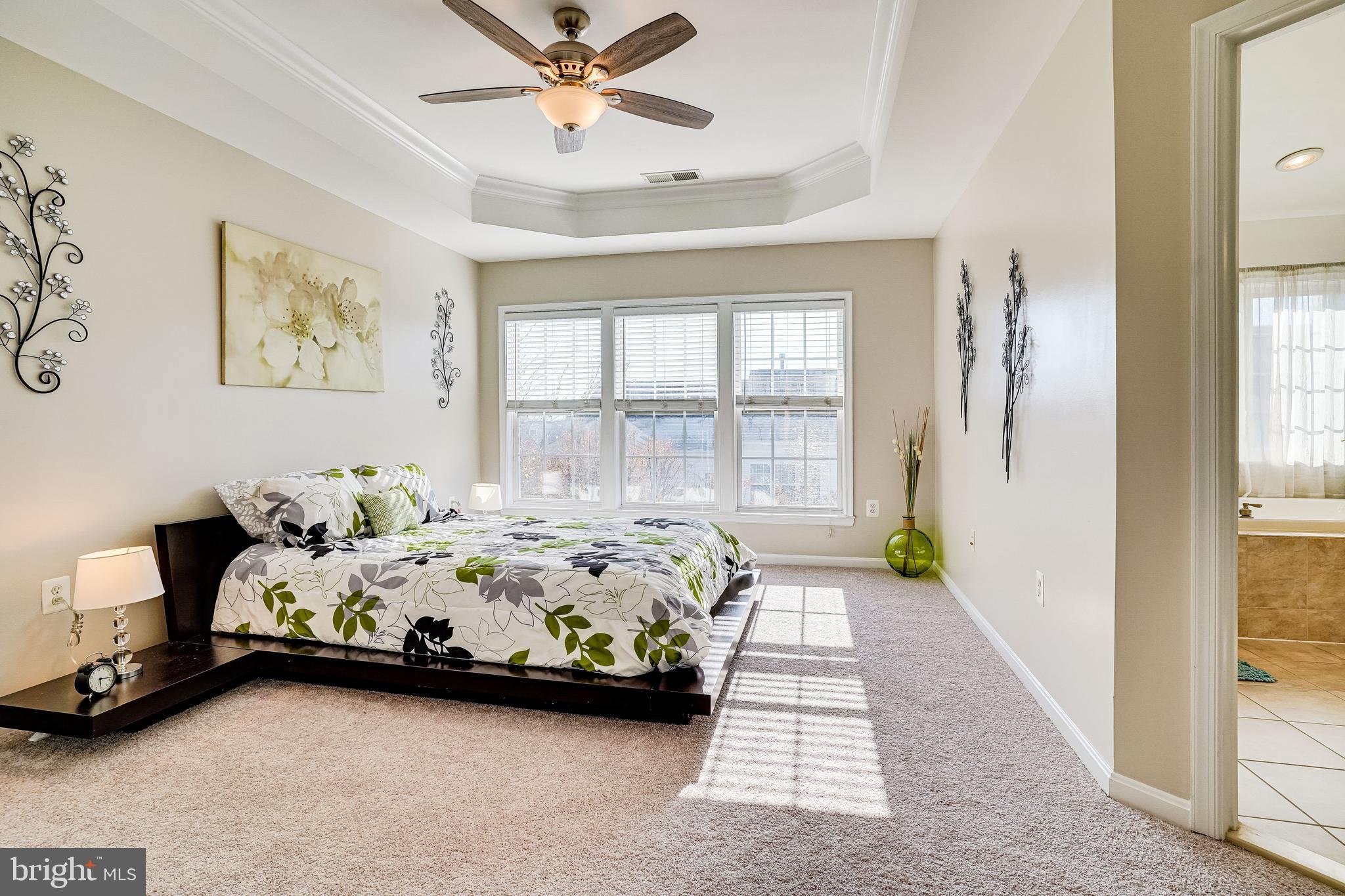 9138 Furey Road Lorton, VA 22079 - Photo 29 of 58 Large Primary Suite with Walk-in Closet