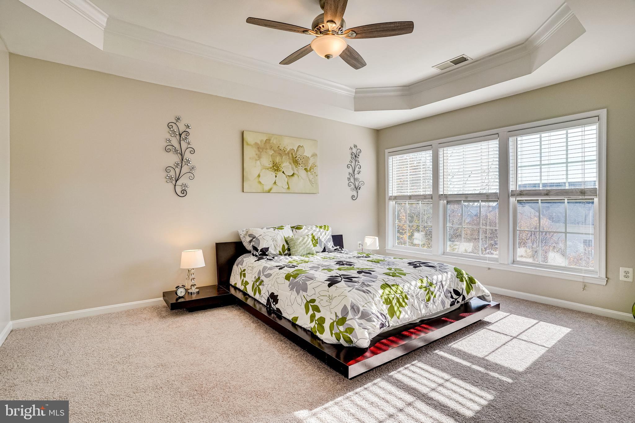 9138 Furey Road Lorton, VA 22079 - Photo 30 of 58 Elegant Tray Ceiling and Ceiling Fan